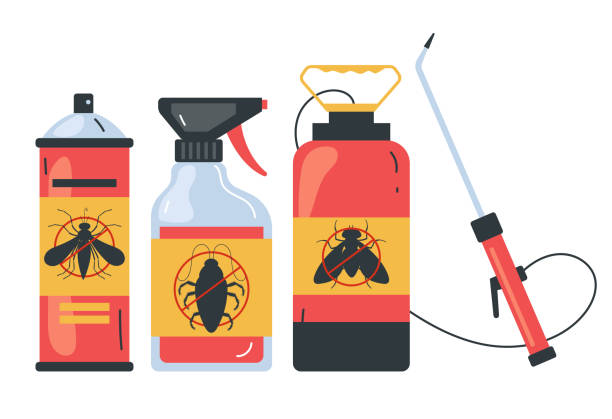 Best Wasp Removal Services  in North Shore, VA